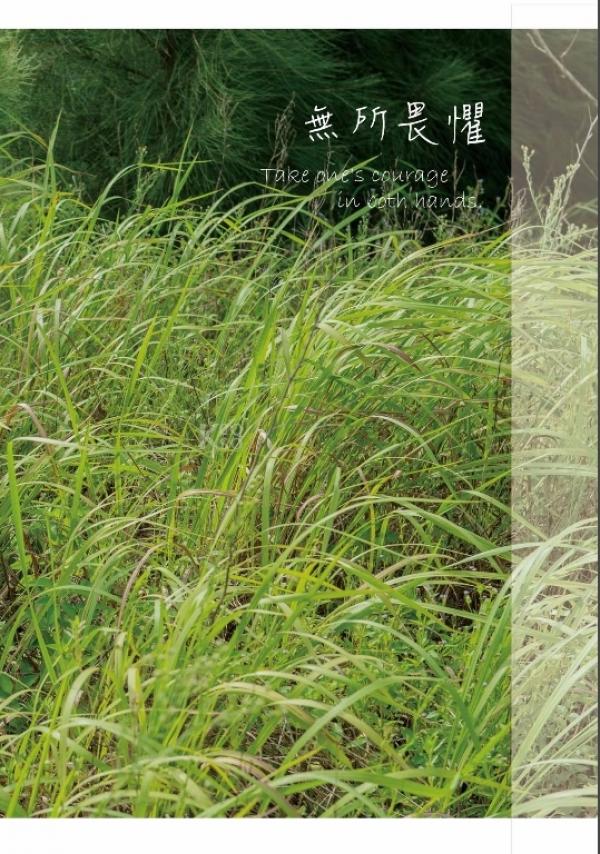 PHOTO-SET-Whoseman-9-明星教練男丁格爾-芬達